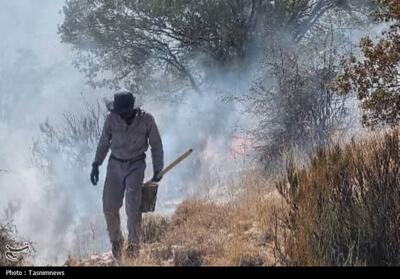 آتش‌سوزی‌های گسترده در جنگل‌ها؛ هشدار برای حفظ طبیعت - تسنیم