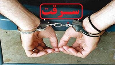 کاهش ۱۱ درصدی وقوع سرقت در کردستان