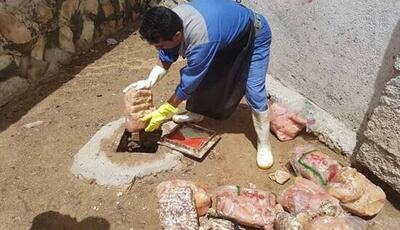 معدوم‌سازی ۲ هزار کیلوگرم مواد غذایی فاسد در زاهدان
