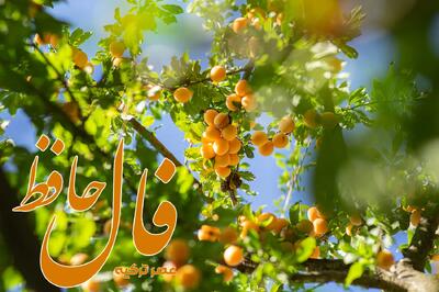 فال حافظ 11 خرداد 1404: به سوی هدف های بزرگ بشتابید و موفق شوید