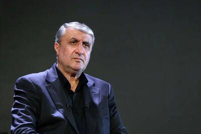 واکنش اسلامی به گزارش مدیرکل سازمان انرژی اتمی