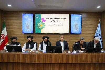 ظرفیت‌های پزشکی و درمانی خراسان جنوبی در خدمت بیماران افغانستان