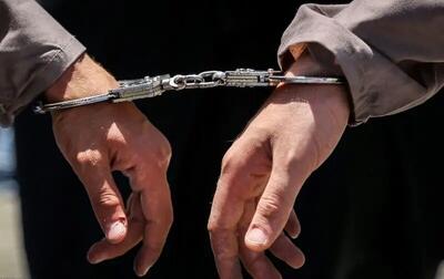 دستگیری قاچاقچی کبک در دهگلان/۲۰ قطعه کبک در صندوق خودرو کشف شد