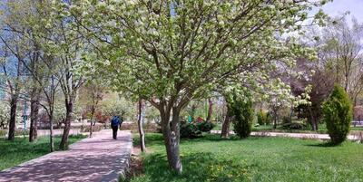 پیش‌بینی پایان هفته خنک برای همدان