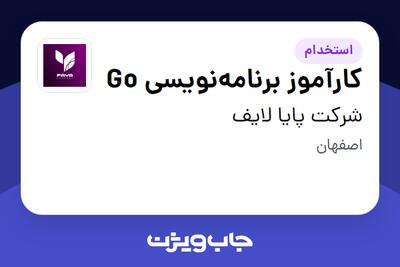 استخدام کارآموز برنامه‌نویسی Go در شرکت پایا لایف