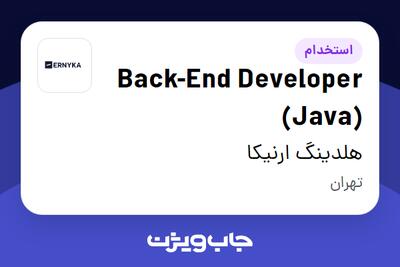 استخدام Back-End Developer (Java) در هلدینگ ارنیکا