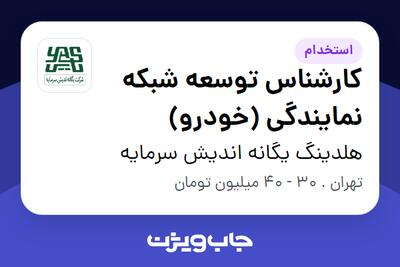 استخدام کارشناس توسعه شبکه نمایندگی (خودرو) در هلدینگ یگانه اندیش سرمایه