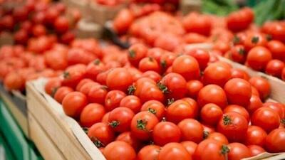 بالا گرفتن جنگ گوجه فرنگی بین روسیه و آذربایجان