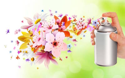 تاثیر بو در طراحی فضا (شمع، عطر و گیاهان معطر)