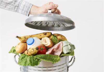 یک‌سوم از مواد غذایی در جهان دورریخته می‌شود - تسنیم