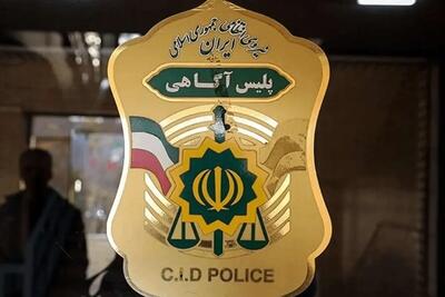 اطلاعیه پلیس درباره مفقود شدن الهه حسین‌نژاد