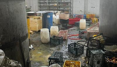 پلمب کارگاه ترشک و لواشک غیرمجاز در بروجرد