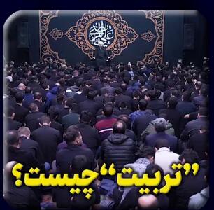 تربیت چیست؟