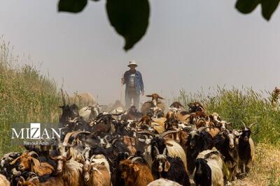 در دل طبیعتِ روستای گردشگری سینی