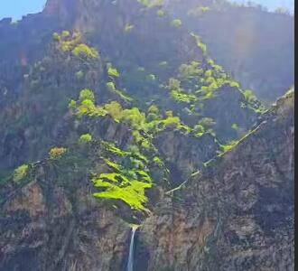 سرووشتی بهشتی در کردستان