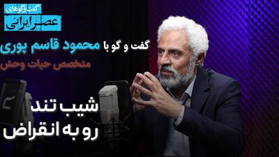 انقراض یوز و پلنگ نوک کوه یخ است/ از بزرگترین پرنده ایران فقط ۲۰ تا مانده/ گوزن زرد دیگر در طبیعت وجود ندارد/ ماهیان خاویار هم در آستانه انقراض اند(فیلم)
