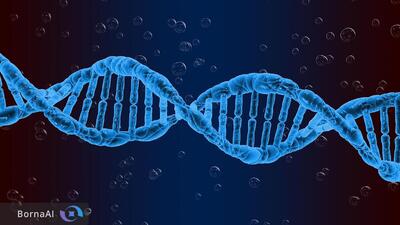 رصد لحظه‌به‌لحظه تعامل نانوساختارهای DNA برای نخستین‌بار