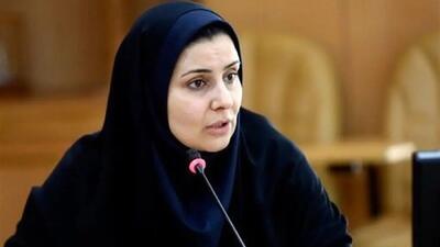 صادق: دیجیتال‌سازی اسناد تمام شقوق‌ حمل‌ونقل الزامی است