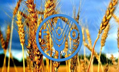 احیا حق رای ایران در فائو پس از ۱۵ سال