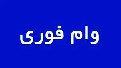 ۸ وام فوق‌العاده با پرداخت سریع در سال ۱۴۰۴