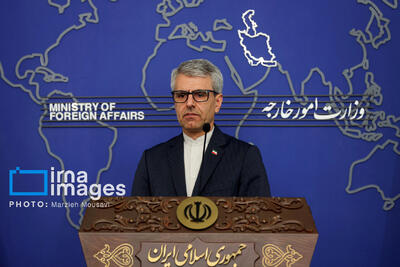 بقائی: ساماندهی مهاجران در دستور کار تهران و کابل است