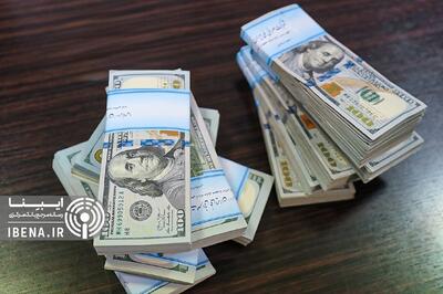 تامین ارز امسال از ۹ میلیارد دلار عبور کرد/ واردات ۲ میلیارد دلار کالای اساسی و دارو