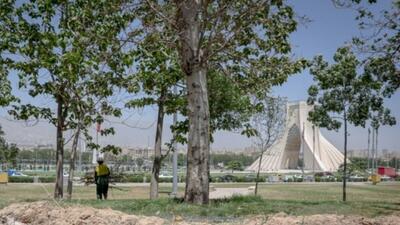 ماجرای قطع درختان میدان آزادی چه بود؟