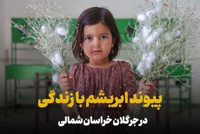 فیلم| زندگی بافته شده با ابریشم در جرگلان خراسان‌شمالی