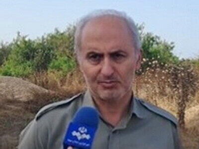 تلفات گسترده بچه ماهی‌ها در تالاب میانکاله