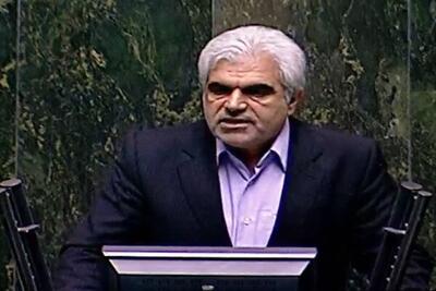 حبیب‌زاده: حمایت از فلسطین یکی از محورهای اندیشه سیاسی امام(ره) بود