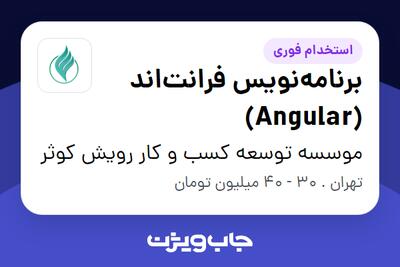 استخدام برنامه‌نویس فرانت‌اند (Angular) در موسسه توسعه کسب و کار رویش کوثر