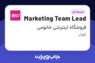 استخدام Marketing Team Lead در فروشگاه اینترنتی خانومی