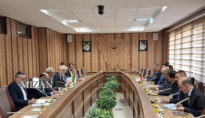 وزیر دادگستری عراق با معاون امور بین‎الملل قوه قضاییه دیدار کرد