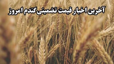 آخرین خبر از پرداخت مطالبات گندمکاران امروز دوشنبه ۱۲ خرداد ماه ۱۴۰۴ | از خرید تضمینی گندم چه خبر؟