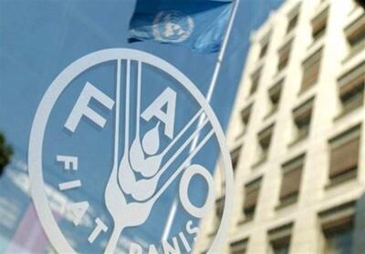 حق رای ایران در فائو پس از 15 سال احیا شد - تسنیم