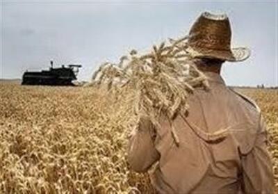 راه‌اندازی 15 مزرعه الگویی در طرح جهش تولید در دیم‌زارها - تسنیم