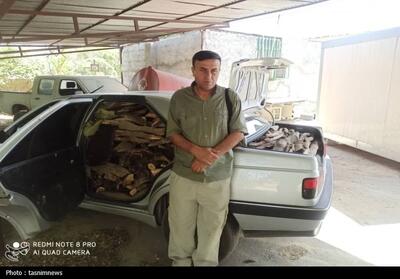 شکار قاچاقچی حرفه‌ای چوب؛ پایان یک شبکه سازمان‌یافته - تسنیم
