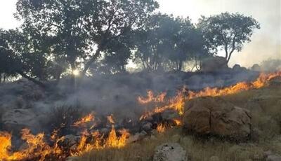 زنگ خطر آتش‌سوزی در جنگل‌های گلستان؛ مسافران بخوانند