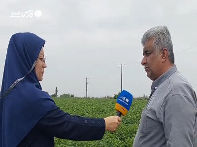 وعده‌های بی‌سرانجام و هزینه‌های کمرشکن برای سیب‌زمینی کاران