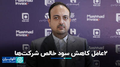 2 عامل کاهش سود خالص شرکت‌ها