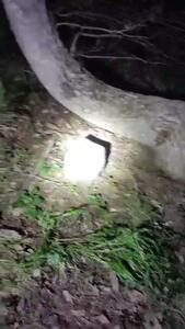نجات بره مرال از آتش پارک ملی گلستان
