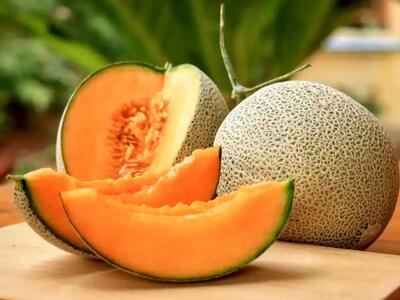 آیا «ملون» تراریخته و مضر برای سلامتی است؟
