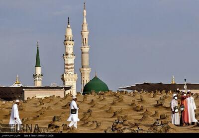 رمان خوب باید میان خواننده و امام معصوم ارتباط ذهنی ایجاد کند