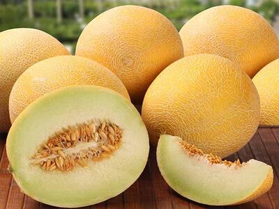 آیا مصرف ملون برای سلامتی مضر است؟