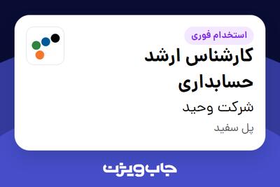 استخدام کارشناس ارشد حسابداری در شرکت وحید