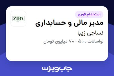 استخدام مدیر مالی و حسابداری در نساجی زیبا