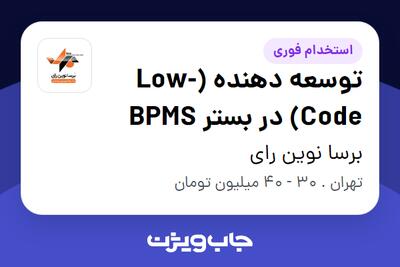 استخدام توسعه دهنده (Low-Code) در بستر BPMS در برسا نوین رای