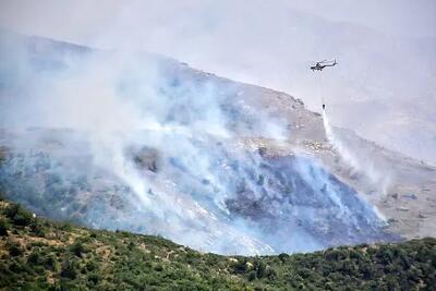 آتش‌سوزی پارک ملی گلستان
