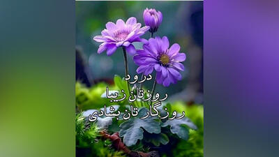 فال روزانه امروز 13 خرداد ماه
