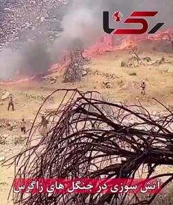 آتش گسترده در پارک گلستان و دالاهو؛ نبود بالگرد و فرماندهی واحد، بحران را شعله ور کرد + فیلم